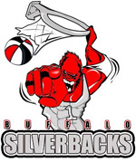 Silverbacks old logo